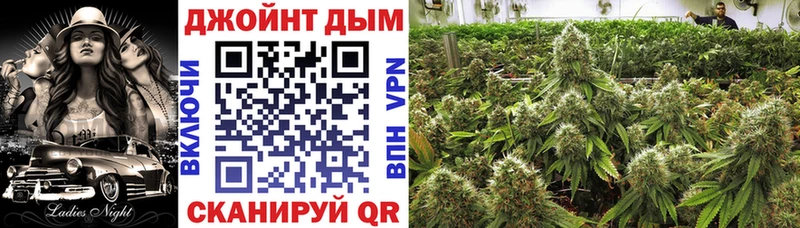 Где можно купить наркотики Кировград A PVP  Меф  Галлюциногенные грибы  Марихуана  ГАШ 