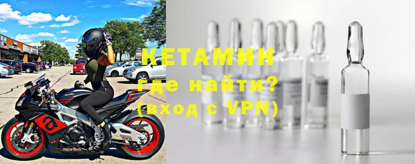 хмурый Пересвет