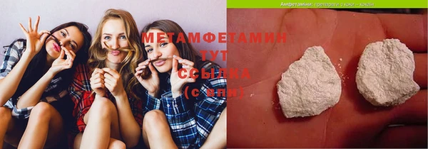 хмурый Пересвет