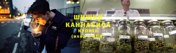 хмурый Пересвет