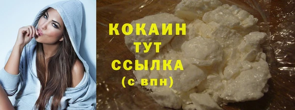 хмурый Пересвет