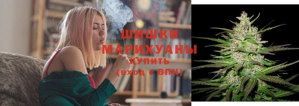 хмурый Пересвет
