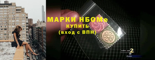 хмурый Пересвет