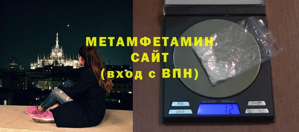 хмурый Пересвет