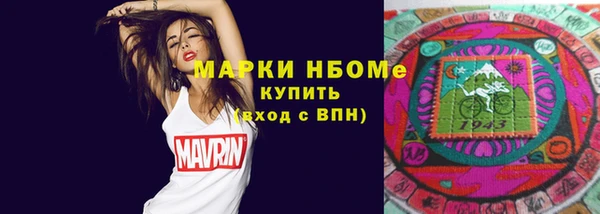 мдпв Пестово