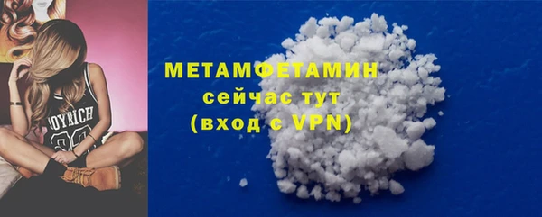 хмурый Пересвет