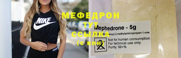 хмурый Пересвет