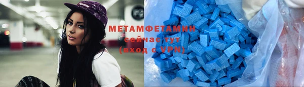 хмурый Пересвет