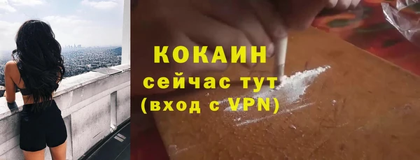 мдпв Пестово