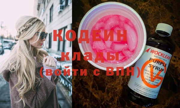 хмурый Пересвет