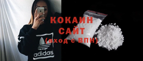 хмурый Пересвет