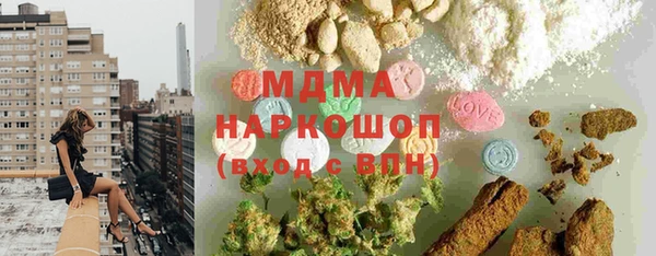хмурый Пересвет