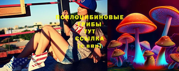 мдпв Пестово