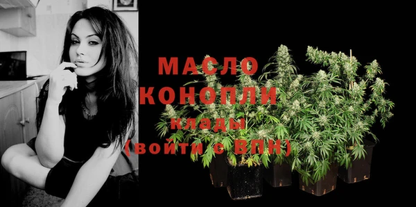 мдпв Пестово