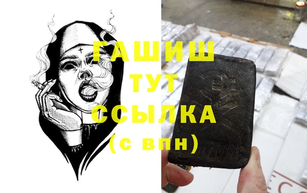 хмурый Пересвет