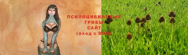 мдпв Пестово