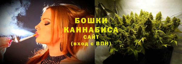 мдпв Пестово
